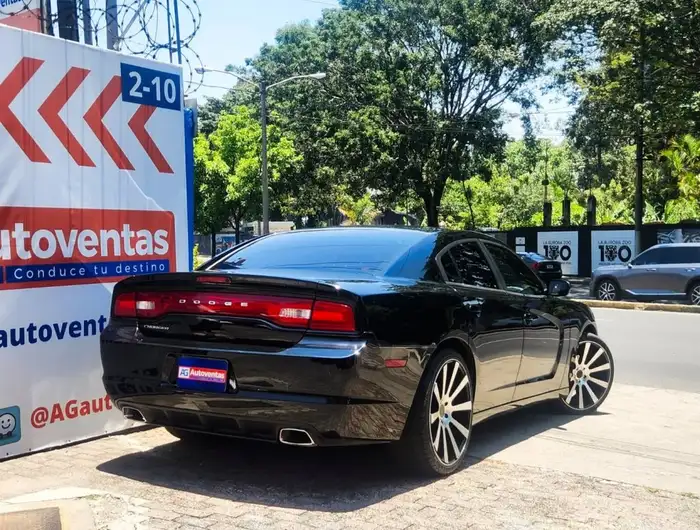 2014 Dodge CHARGER — 4
