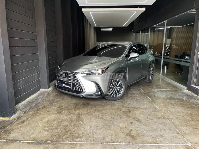 2024 Lexus NX — 1