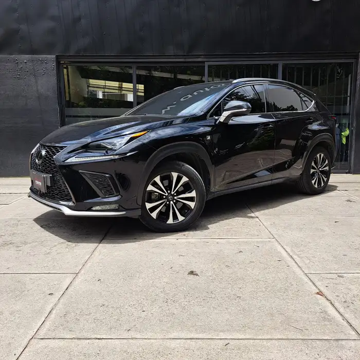 2020 Lexus NX — 1