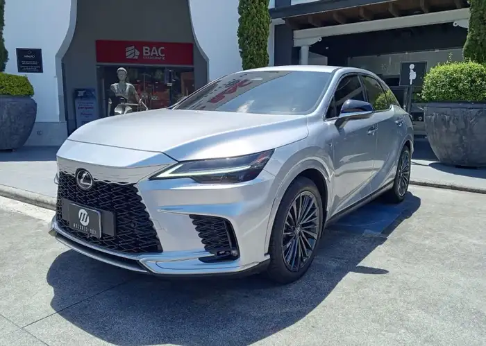 2024 Lexus RX — 1