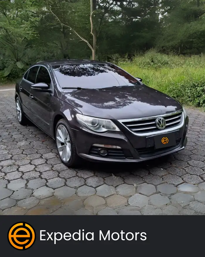 2010 Volkswagen PASSAT — 1